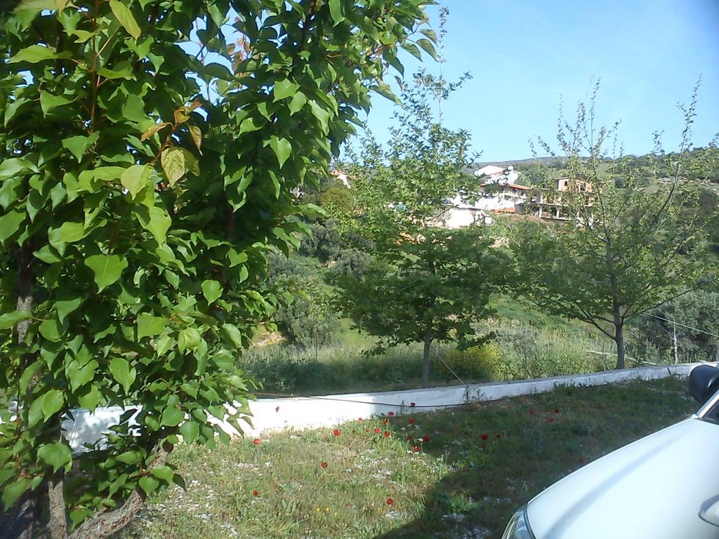 Panorama Hill Apartment Grammatiko Екстериор снимка