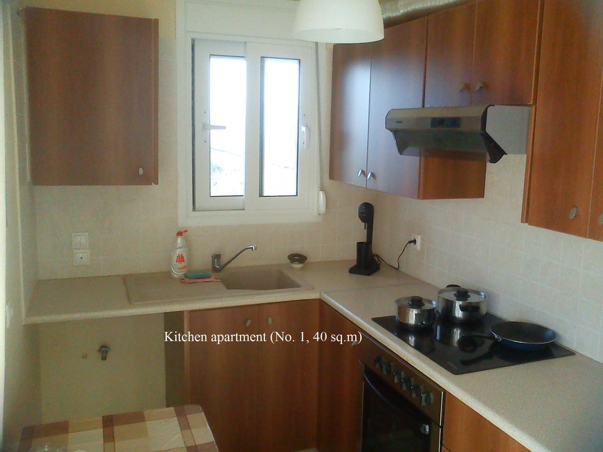 Panorama Hill Apartment Grammatiko Екстериор снимка